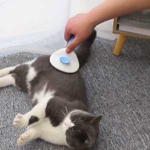 Lược chải lông chó mèo massage răng bọc cao su tự làm sạch