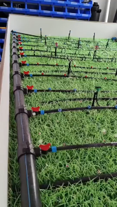 【Local stock】Water pipe valve 16mm Drip irrigation lateral valve for drip tapes and agriculture