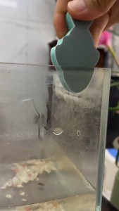 Bông Tẩy Cặn Canxi Hồ Cá - Cục Tây Cặn Chuyên Dụng Cho Thành Bể Nhỏ Gọn Dễ Sử Dụng