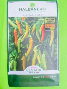 Benih Cabai Rawit LESTARI isi 10gram dari HALBANERO