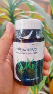 Puree Herb ภูรีเฮิร์บ สไปรูลิน่าแคปซูล เสริมภูมิ ผักผ่อนน้อย ขับถ่ายยาก เครียดสะสม 1 กระปุก 60 แคปซูล ขับถ่าย โลหิต เผาผลาญ
