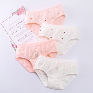 Kids Pure Cotton Underwear Girl New Arrival Briefs Boxer Shorts Baby Little Girl Childrens Boxer Leggings