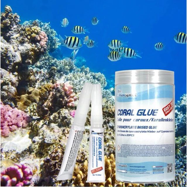 กาวเจล maxspect Coral Glue 5g. | Lazada.co.th