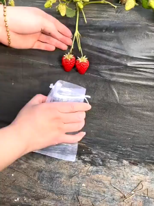 50Pcs Fruit Protection Bag Anti Insect and Bird Nylon Fruit Mesh Bag Breathable Fruit Drawstring Bag