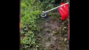 แปรงลวดถ้วยตัดหญ้า หัวแปรงลวด ***6 นิ้ว/8 นิ้ว*** แปรงขัดพื้น ใบขัดพื้นหญ้า สำหรับใส่เครื่องตัดหญ้า หัวแปรงลวด สำหรับขัดพื้น 200มิลลิเมตร