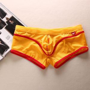 Quần Lót Nam Lưới Thoáng Khí Mỏng Mùa Hè Cạp Thấp Gợi Cảm Quần Lót Lưới Quần Đùi Lưng Thấp Quần Lót Nam