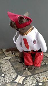 BAJU KUCING KARAKTER SERAGAM SEKOLAH SUPERHERO GRAB GOJEK LUCU GEMES