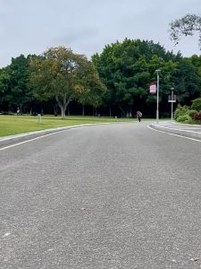 2-In-1 Portable Dog Water Bottle Pet Storage Food Cup Pet Outdoor Travel Drinking Bottle Portable Water Food Cup