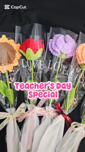 【Teacher’s Day】Crochet Flower Gift | Knitted Rose Sunflower Carnation | Handmade Eternal Flower for Teachers gift