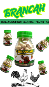 BRANCAH BOTOL 35 KAPSUL - Jamu ayam meningkatkan birahi pejantan