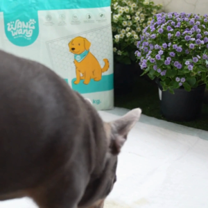 [2 แพค] WangWang แผ่นรองซับสัตว์เลี้ยงพรีเมี่ยม 90x60 ซม. – ซึมซับดี แห้งไว ลดกลิ่น ไม่ซึมเปื้อน