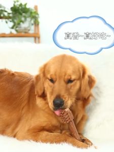 Dog molar stick dental chew bone for pet oral hygiene