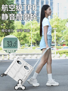 Foldable Compact Shopping Cart Lightweight Portable Vegetable Buying Small Pulling Car Sturdy Home Use Miniature Trolley