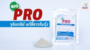 BioPro ไบโอโปร อาหารเสริมชีวนะ แก้ปัญหาขี้ขาว ขนาด 100 กรัม