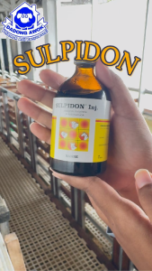 SULPIDON 50ml & 100ml - Obat penurun panas & kejang kejang Pereda Sakit Hewan Analgesik Antipiretik