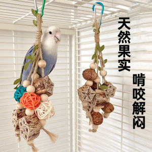 Natural Fruit Nut Toy Parrot Chew Toy Bird Cage Accessories Tooth Grinding Peony Xuanfeng Stress Relief Pet Supplies