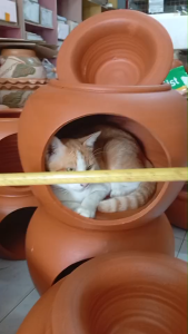 บ้านแมว 12นิ้ว 14นิ้ว 16 นิ้ว โอ่งบ้านแมวดินเผา บ้านแอร์ +ฝาปิดด้านบน สัตว์เลี้ยง รับประกัน ความเสียหายระหว่างขนส่งให้