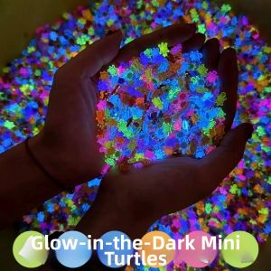 FUMENGLAN | Glow-in-the-Dark Colorful Pair Mini Turtle Toy
