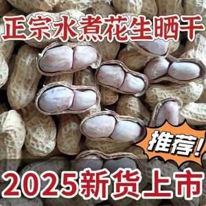 Roasted Garlic Five-spiced Peanuts In Shell Ready-to-eat