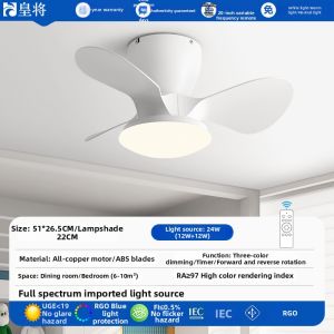 HUANGJIANG | Modern Simple Ceiling Fan Light