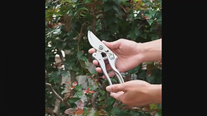 Garden Pruning Shears Made In Japan Sk-5 Gardening Dedicated Pruning Shears Pruning