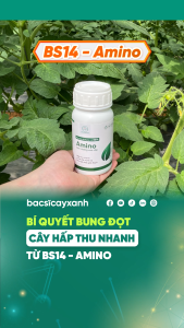 Combo Cải Tạo Đất BS14 Humic Amino BS18 Lasti - Phục Hồi Cây Suy Dinh Dưỡng - Bác Sĩ Cây Xanh