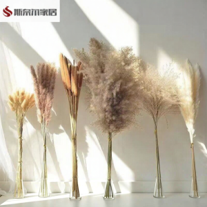FEIZHUXIANSEN | Nordic Style Natural Color Reed Decorative Dried Flower Arrangement