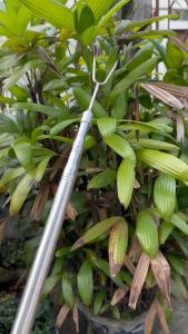 MÓC THU CẦN INOX ĐẦU V REN 8LY - CÂU HỐ ĐẤU ĐUA XE