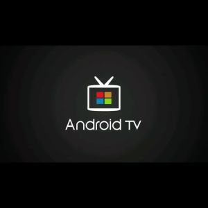 Allwinner H728 R69 PRO Android 14 8K WiFi6 Voice Remote Control Streaming Media Player Home Set Top Box Smart Android TV Box