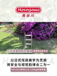 Hasegawa | Durable Aluminum Folding Stepladder