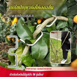 เครื่องถอนมุมแบบยืดไสลด์แบบเกษตร เครื่องจัดแต่งทรงผมต้นไม้ผลไม้