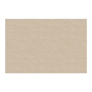 MIMARIJI | Washable Cleanable Waterproof Sunscreen Floor Mat