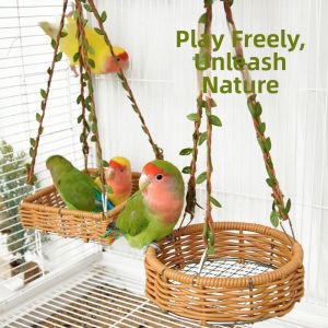 XIANGZONGBING | Cool Handmade Rattan-like Bird Hammock