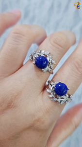 Collection Grade Lapis Titanium Adjustable Rings (2 Designs)