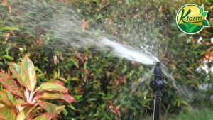 10 ตัว หัวฉีดด้านเดียว 180 องศา รูน้ำ 4 มิล น้ำกระจายพุ่งไปด้านหน้า พร้อม วาล์วท่อ PE 16-25 มิล สปริงเกอร์ ท่อพีอี สปริงเกอร์ท่อพีอี