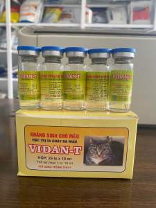 Vidan T (lọ 10ml) năm thái dung dịch tiêm xử lý tiêu chảy kiết lị viêm phổi cho chó mèo