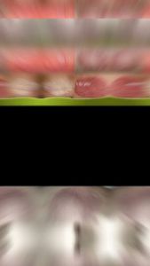 [TP.HCM] Kem bôi viêm da cơ địa chính hãng Nhật Bản tuýp 25gr