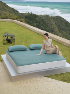 Mercury | A Grade Antibacterial Top Layer Leather Summer Breathable Wear-resistant Bedding Mat