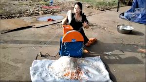 Máy ruôi sắn.Nạo sắn thành sợi gắn mô tơ 750W chạy dây curoa
