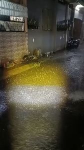 Lampu LED Original RTD M01F H4 Laser D2 Premiun 2 Warna 30 Watt AC DC Kipas