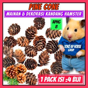 《PINECONE 1 PACK ISI 4 BIJI》MAINAN & DEKORASI KANDANG HAMSTER - APHG#8