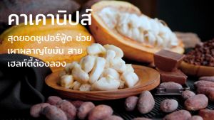 คาเคานิปส์ เกรดพรีเมี่ยม 100g คาเคานิป Cacao Nibs - Lazada