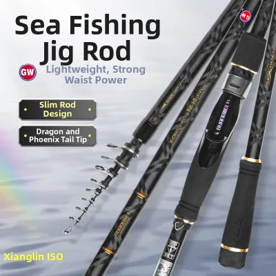 GW | Ultra Lightweight Ultra Hard Carbon Surf Casting Rod