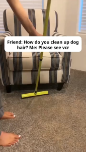 Long Handle Pet Fur Removal Broom Hair Lint Removal Telescopic Bristles Magic Clean Sweeper Petibo Pet Broom