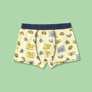 Pure Cotton Childrens Underwear Boys Boxer Shorts Anti-Bacterial Comfortable All Season Innerwear for Boys Age 2-13
