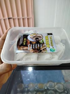 Teh herbal Seger sereh jahe kunyit kencur kapulaga cengkeh Paket komplit 15 pcs/box