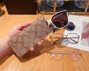 Portable Anti-Pressure Womens Sunglasses Case Fashionable Storage Bag Protective Cover Convenient Carry-On for Glasses