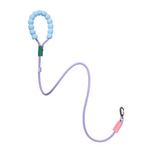 BORORO Pet Leash Dopamine Design Comfort Foam Handle Alloy Lock Detachable O-Ring Durable Polyester Rope
