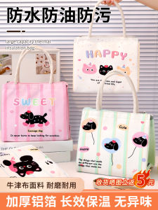 Cute Insulated Lunch Box Bag Large Size for Children Students Office Workers Cartoon Bento Bag Box Portable Food Storage
