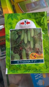 BENIH TIMUN ETHANA F1 CAP PANAH MERAH // ETANA MENTIMUN